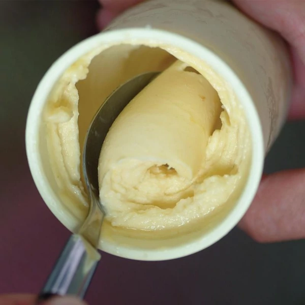 NEMOX Frix Air Pürésítő, krémesítő, habosító gép (Pakotizáló)